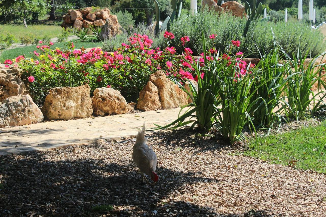 Tenuta Ferraro Gallipoli Ngoại thất bức ảnh