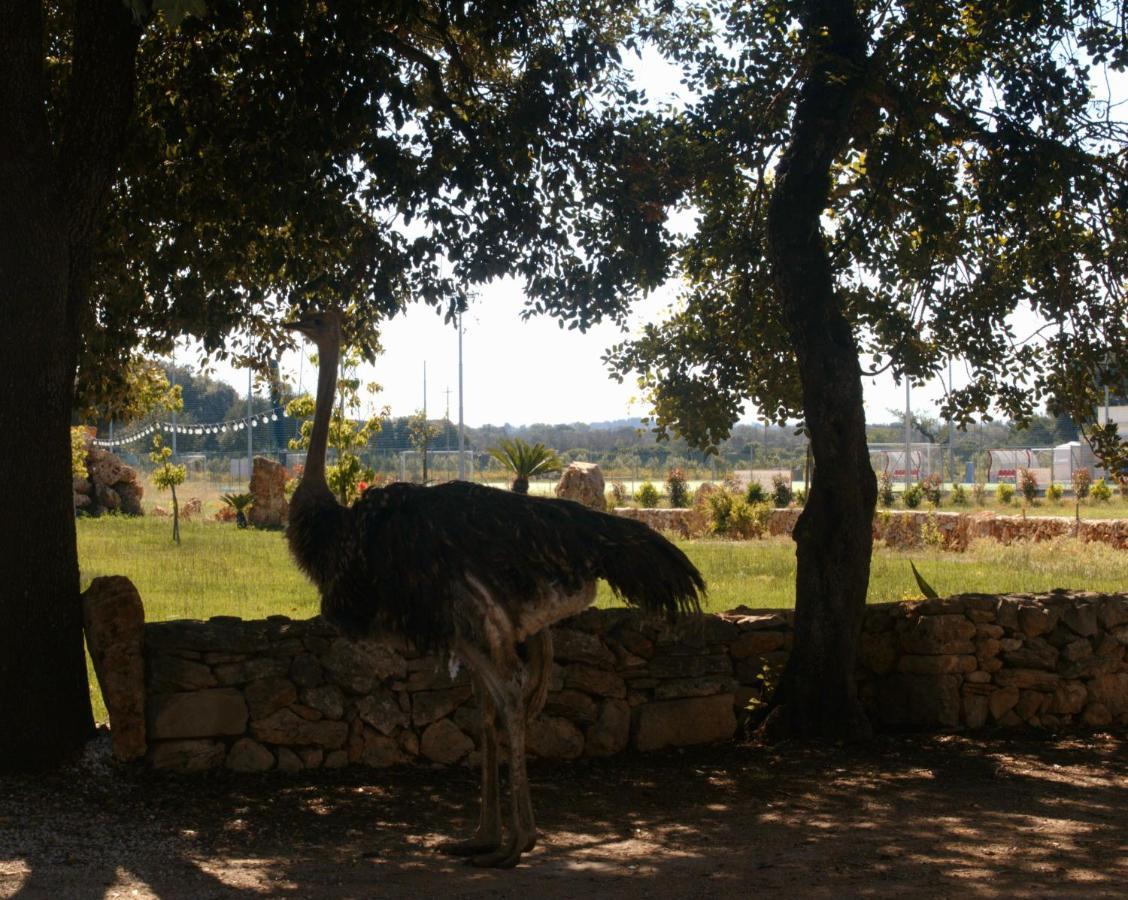 Tenuta Ferraro Gallipoli Ngoại thất bức ảnh