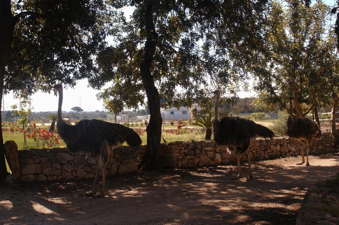 Tenuta Ferraro Gallipoli Ngoại thất bức ảnh