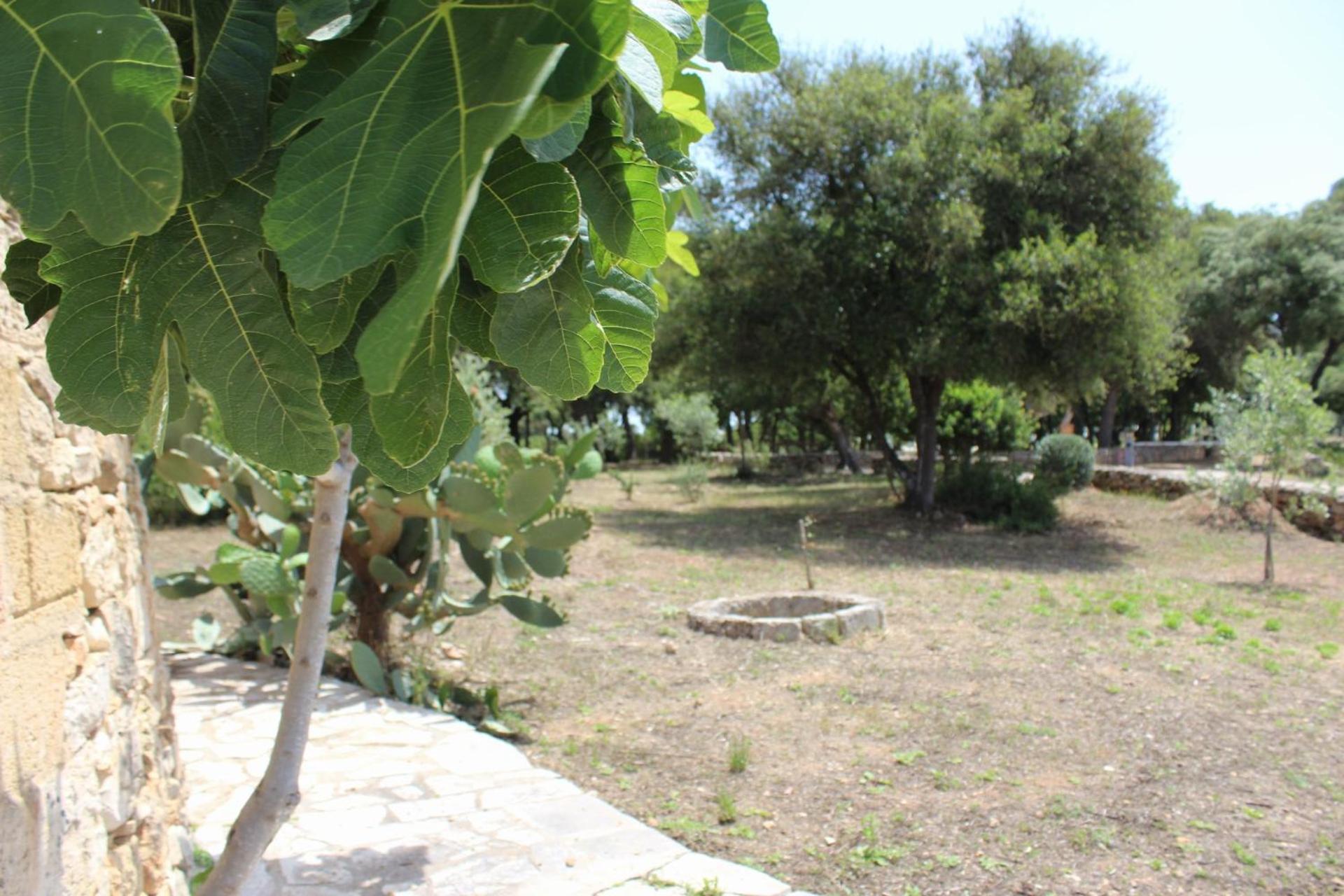 Tenuta Ferraro Gallipoli Ngoại thất bức ảnh