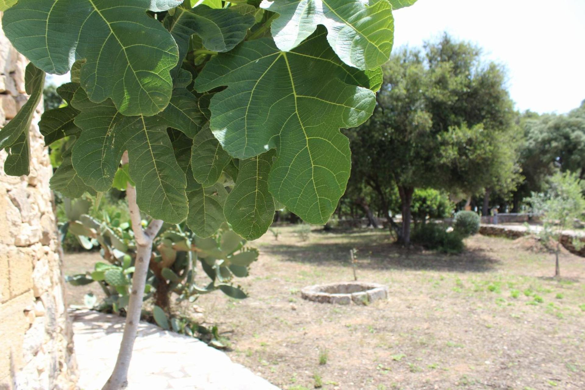 Tenuta Ferraro Gallipoli Ngoại thất bức ảnh