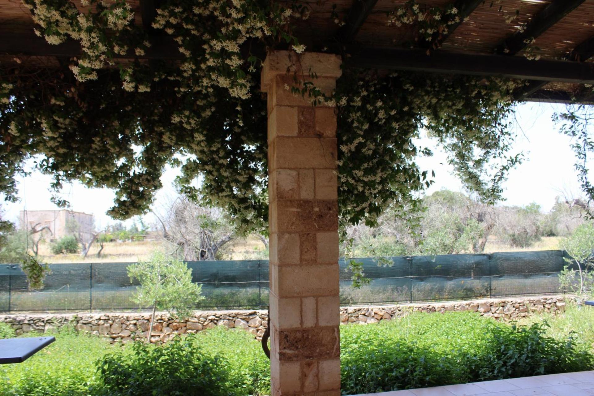 Tenuta Ferraro Gallipoli Ngoại thất bức ảnh