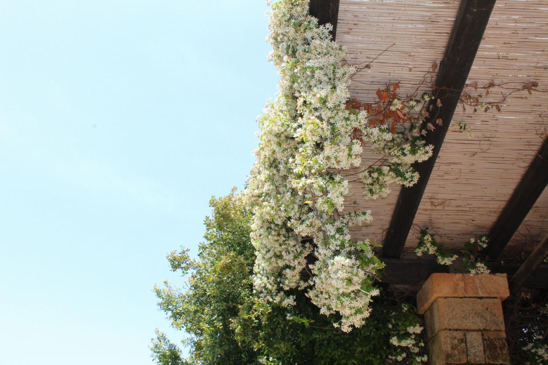 Tenuta Ferraro Gallipoli Ngoại thất bức ảnh