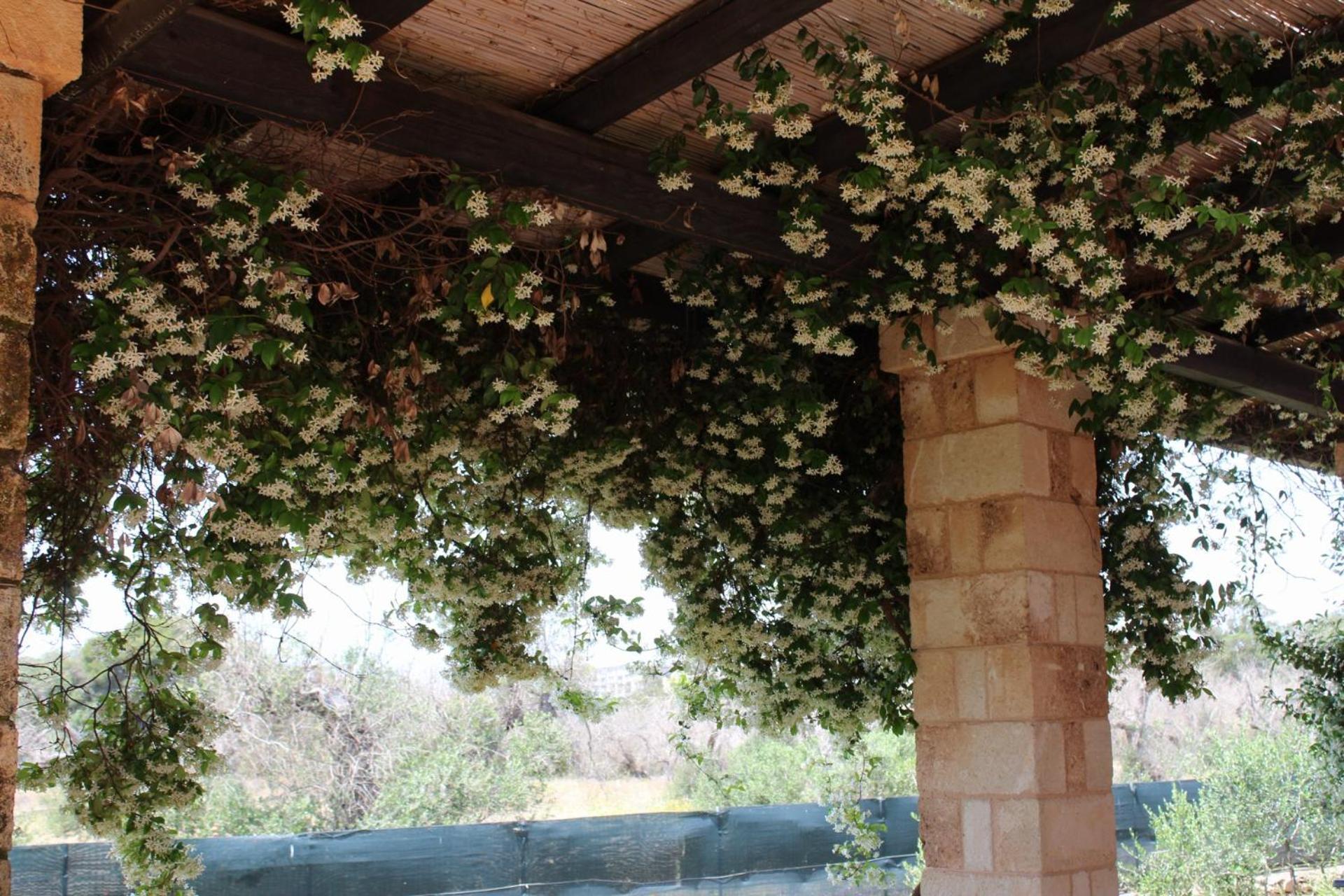 Tenuta Ferraro Gallipoli Ngoại thất bức ảnh